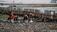 Sejumlah petugas gabungan membersihkan sampah yang mengotori hutan mangrove di Muara Angke, Jakarta Utara, Kamis (13/7/2023).  