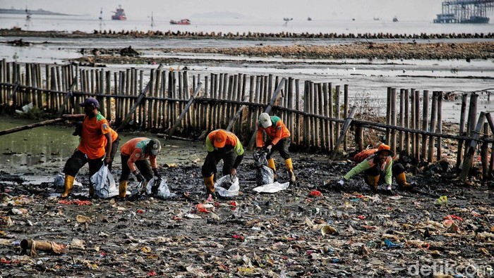 Gerebek Sampah di Lautan Muara Angke Sejumlah petugas gabungan membersihkan sampah di Taman Mangrove Muara Angke, Jakarta Utara, Kamis (13/7/2023).