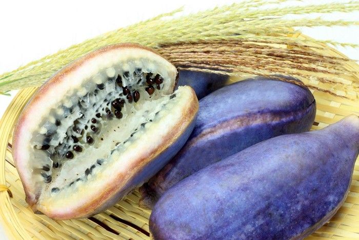 Hanya Ada di Jepang! Ini 5 Buah Unik, Lemon Melon hingga Akebi