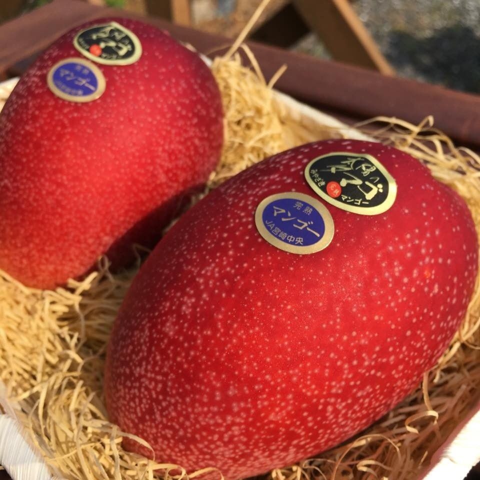 Hanya Ada di Jepang! Ini 5 Buah Unik, Lemon Melon hingga Akebi