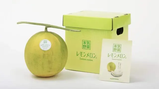 Hanya Ada di Jepang! Ini 5 Buah Unik, Lemon Melon hingga Akebi