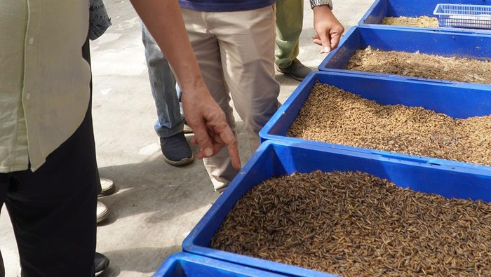 Pengelolaan limbah dan sampah harus ditangani serius. Maka diperlukan manajemen pengelolaan sampah yang inovatif, salah satunya melalui Integrated Waste Management (IWM), Kamis (13/7/2023).