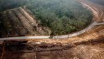 Foto Udara Proyek Jalan Tol Jambi-Sumsel yang Ditargetkan Kelar Tahun Depan