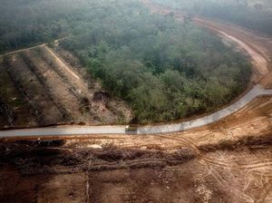Tol Pertama di Jambi Dikebut Kelar 2024, Pangkas Waktu Perjalanan Jadi 1,5 Jam
