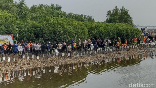 Kapolda Metro Jaya Irjen Karyoto mengerahkan pasukan membersihkan sampah di hutan mangrove Muara Angke, Jakarta Utara, Kamis (13/7/2023).