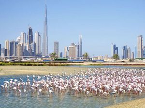 Di Tengah Kemewahan Dubai, Aspek Berkelanjutan Tetap Jadi Perhatian