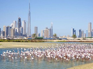 5 Hidden Gems di Dubai