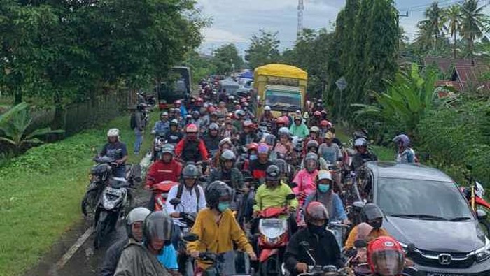 Kemacetan di Jalan Poros Bone-Sinjai akibat pohon tumbang.