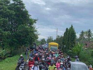 Jalan Poros Bone-Sinjai Macet 3 Km gegara Pohon Tumbang
