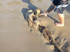Asyik di Pantai, Pria Ini Nemu Kerangka Aneh Misterius Mirip Putri Duyung