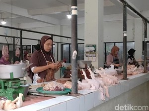 Harga Daging Ayam di Kulon Progo Meroket, Sebagian Pedagang Pilih Libur