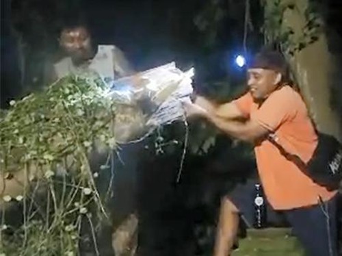 BPBD Gianyar tangani pohon tumbang menimpa Pura Gunung Merta di Banjar Melayang, Desa Sumita, Kabupaten Gianyar, Rabu malam (12/7/2023).