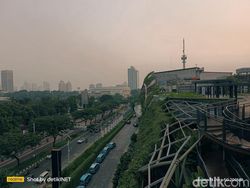 Ini Hasil Jepretan Kamera 200 MP Realme 11 Pro+, Segera Dirilis di RI