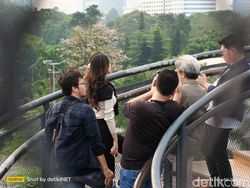 Ini Hasil Jepretan Kamera 200 MP Realme 11 Pro+, Segera Dirilis di RI