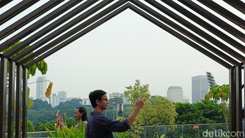 Hasil foto kamera utama. Foto: Adi Fida Rahman/detikINET