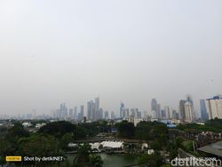 Ini Hasil Jepretan Kamera 200 MP Realme 11 Pro+, Segera Dirilis di RI