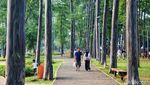 Suasana Tebet Eco Park yang Raih Penghargaan Bergengsi dari Singapura