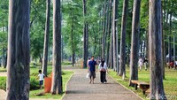Pendiri Siura Studio, Anton Siura, yang merancang Tebet Eco Park menjelaskan bahwa Tebet Eco Park didesain dengan mengusung tiga konsep utama, yaitu fungsi ekologi, ruang sosial, edukasi serta rekreasi.   