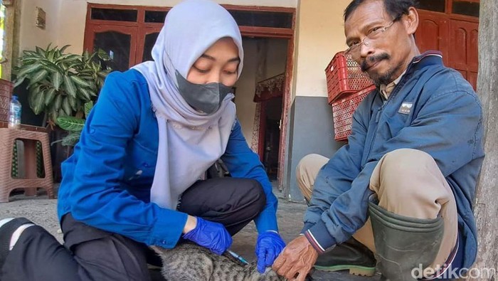 Suntik rabies banyuwangi