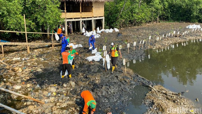Tumpukan sampah di hutan mangrove Muara Angke, Penjaringan, Jakarta Utara, Kamis (13/7/2023).