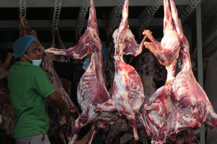 Daging Kambing Dam siap dikirim ke RI