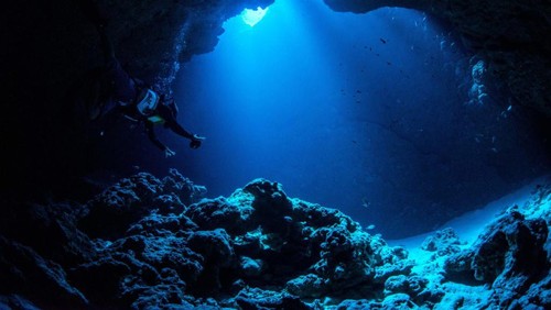 Ilustrasi Palung Mariana