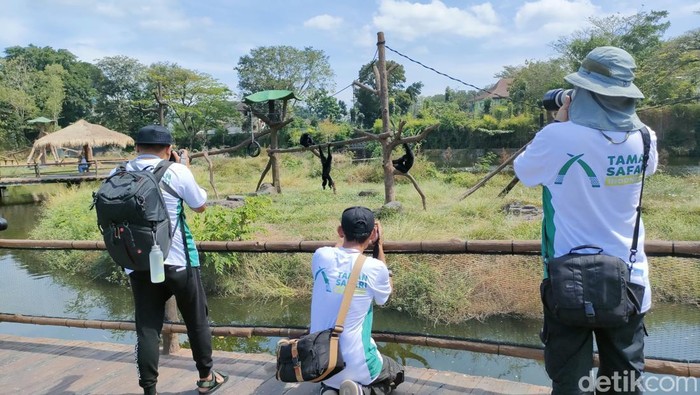 Para peserta mengikuti kompetisi foto dan video oleh Taman Safari Indonesia di Solo Safari, Kamis (14/7/2023).