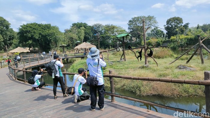 Para peserta mengikuti kompetisi foto dan video oleh Taman Safari Indonesia di Solo Safari, Kamis (14/7/2023).