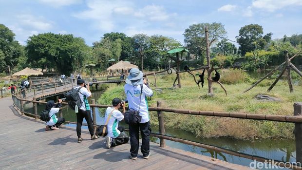 Para peserta mengikuti kompetisi foto dan video oleh Taman Safari Indonesia di Solo Safari, Kamis (14/7/2023).