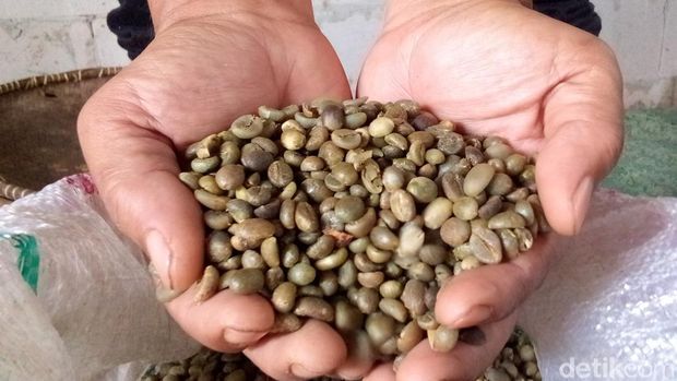 Kopi Liberika Kuningan.