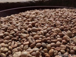 5 Fakta Kopi Liberika, Biji Langka Indonesia yang Kaya Cita Rasa