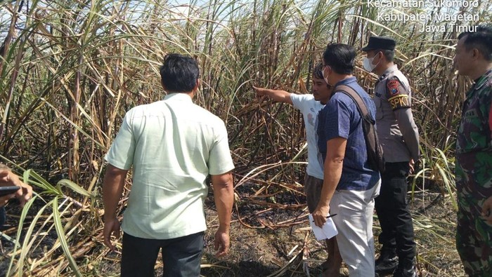 Lokasi kakek di Magetan terbakar saat bakar ladang tebu