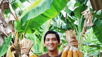 Momen Lucky Hakim ketika memanen jagung juga sempat dibagikan. Ia terlihat berada di sebuah kebun. Foto: Instagram @luckyhakimofficial