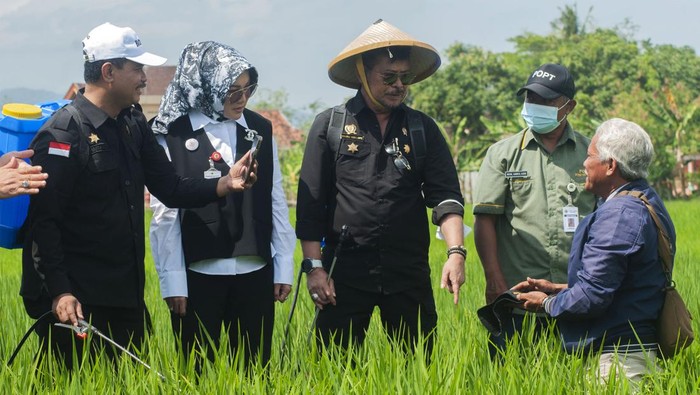 Menteri Pertanian Syahrul Yasin Limpo (kanan) didampingi Bupati Klaten Sri Mulyani (kiri) menyemprotkan pestisida biologi saat gerakan pengamanan produksi padi di Karangdowo, Klaten, Jawa Tengah, Jumat (14/7/2023). Kegiatan penyemprotan pestisida biologi ramah lingkungan itu diharapkan dapat membasmi hama wereng sehingga dapat menjaga produksi padi dengan baik.