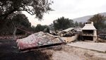 Ngeri! Kebakaran Hutan di Kroasia Hanguskan Mobil dan Rumah