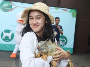 Pecinta Satwa Merapat! Traveler Bisa Main Bareng Hewan di Hotel Ini