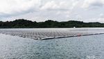 Penampakan 63 Lapangan Bola yang Dibangun Singapura di Atas Danau