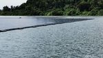 Penampakan 63 Lapangan Bola yang Dibangun Singapura di Atas Danau