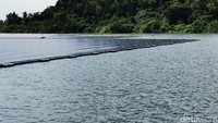 Listrik yang dihasilkan dari PLTS apung ini digunakan sebagai sumber energi memproduksi air minum warga Singapura yang diproses dari fasilitas pemurnian air (water treatment). Foto: Eduardo Simorangkir