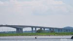Penampakan 63 Lapangan Bola yang Dibangun Singapura di Atas Danau