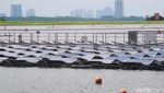 Penampakan 63 Lapangan Bola yang Dibangun Singapura di Atas Danau