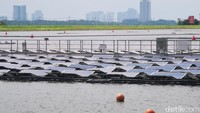 Sebanyak 10 ‘pulau’ PLTS dengan ukuran dan jumlah panel yang berbeda dibentangkan di atas waduk Tengeh. Foto: Eduardo Simorangkir