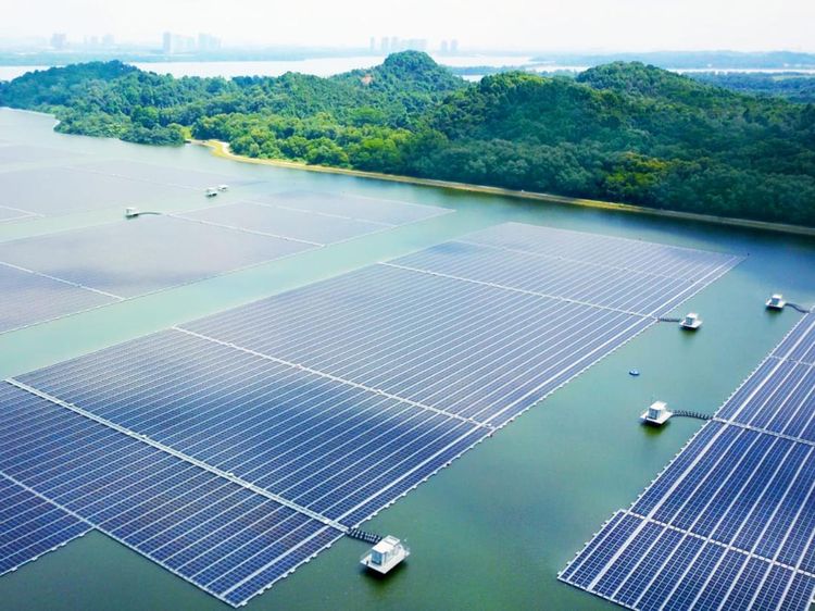 Penampakan 63 Lapangan Bola yang Dibangun Singapura di Atas Danau