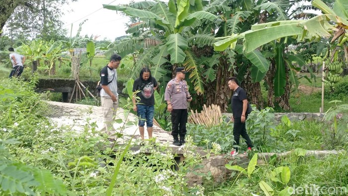 Polisi menyisir lokasi duel dua ABG berujung maut untuk mencari barang bukti di Desa Kedondong, Kecamatan Sokaraja, Banyumas, Jumat (14/7/2023).