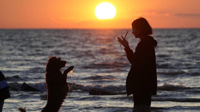 A woman plays with her dog at a beach on the Finnish Gulf as the sun sets, in St. Petersburg, Russia, Thursday, July 13, 2023. (AP Photo/Dmitri Lovetsky)