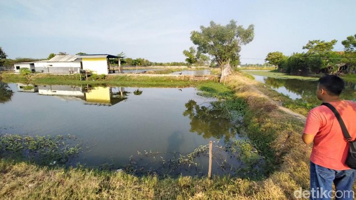 Salah satu tambak di Kota Pasuruan.