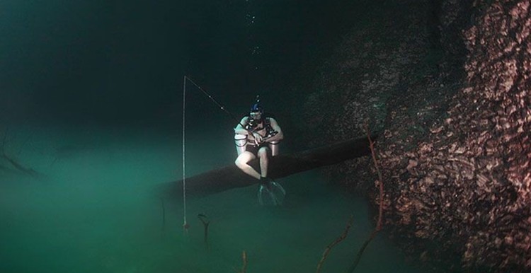 Sungai di bawah laut Cenote Angelita Sungai di bawah laut Cenote Angelita