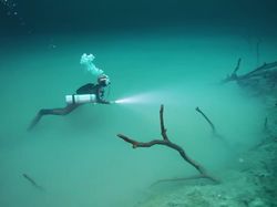 Ada Sungai di Bawah Laut, Mirip yang Disebutkan Al Quran