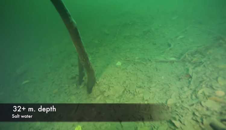 Sungai di bawah laut Cenote Angelita Sungai di bawah laut Cenote Angelita