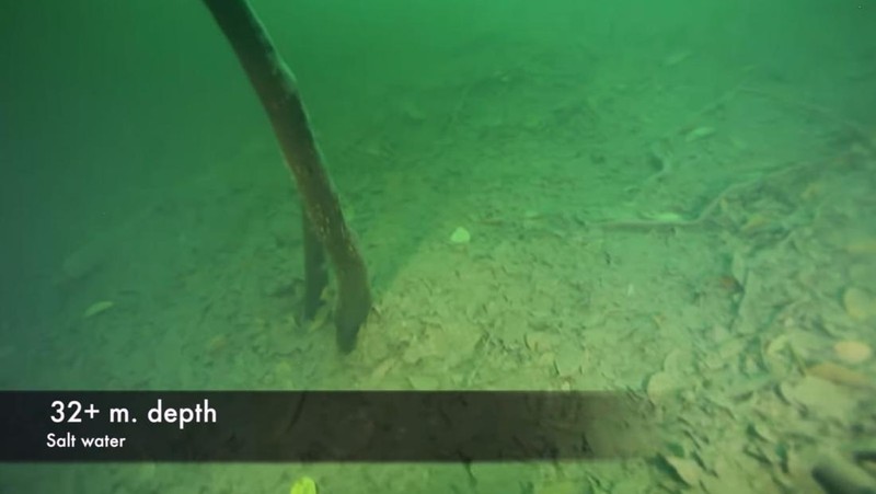 Sungai di bawah laut Cenote Angelita